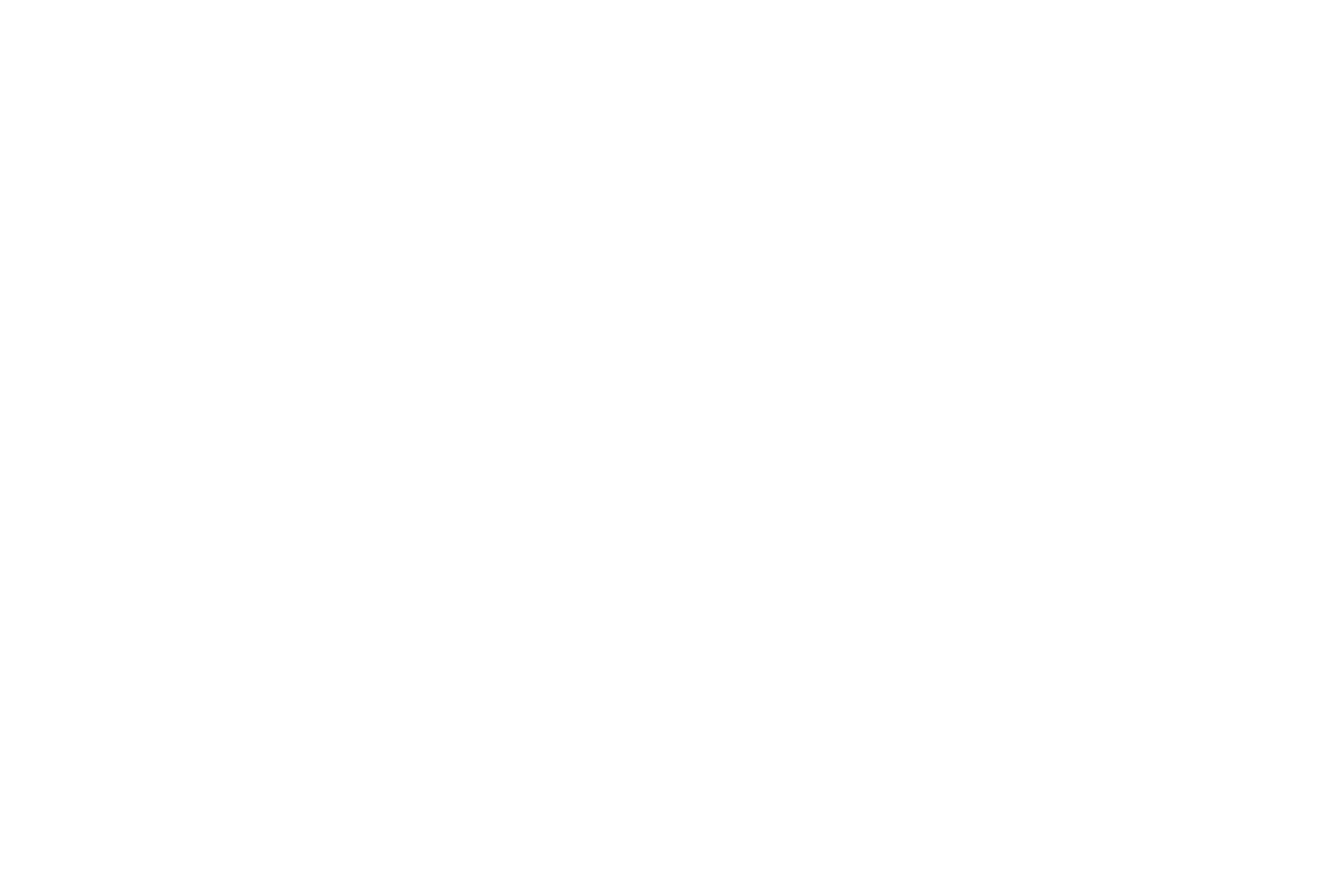 The SWAGG Logo